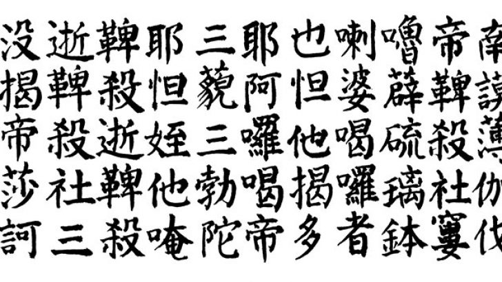 Çince Çeviri