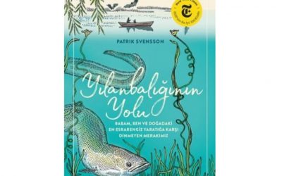 Kitap Çevirisi Örneği: Yılan Balığının Yolu